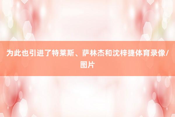 为此也引进了特莱斯、萨林杰和沈梓捷体育录像/图片