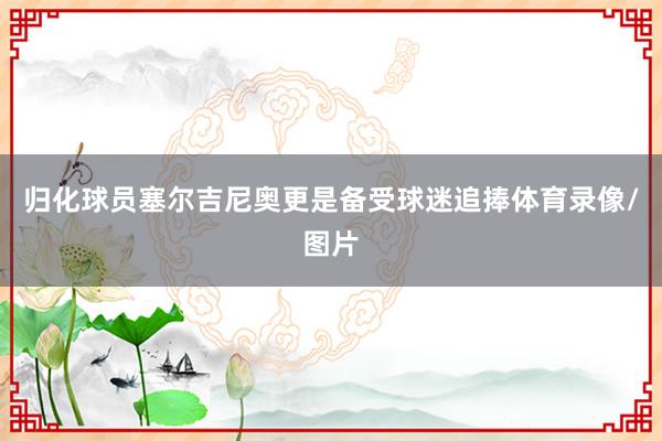 归化球员塞尔吉尼奥更是备受球迷追捧体育录像/图片