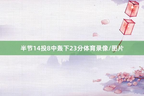 半节14投8中轰下23分体育录像/图片