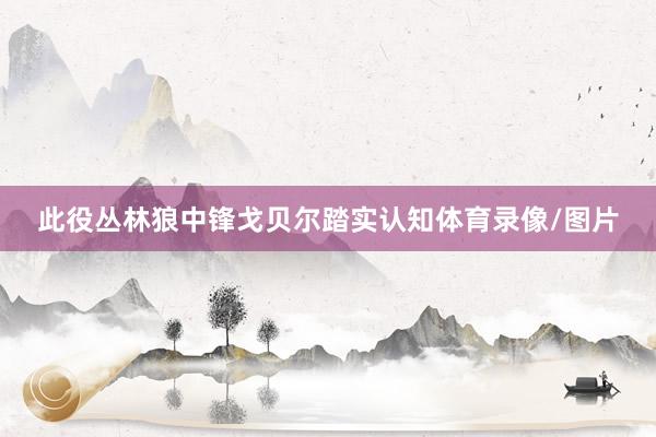 此役丛林狼中锋戈贝尔踏实认知体育录像/图片