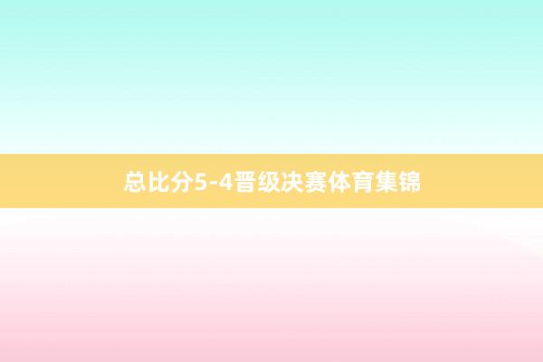 总比分5-4晋级决赛体育集锦