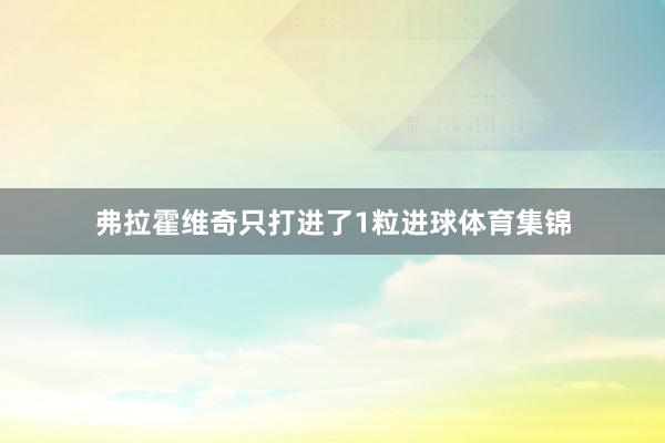 弗拉霍维奇只打进了1粒进球体育集锦