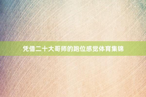 凭借二十大哥师的跑位感觉体育集锦