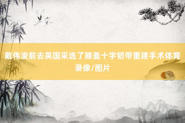 戴伟浚前去英国采选了膝盖十字韧带重建手术体育录像/图片