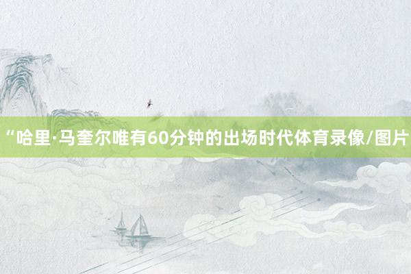 “哈里·马奎尔唯有60分钟的出场时代体育录像/图片