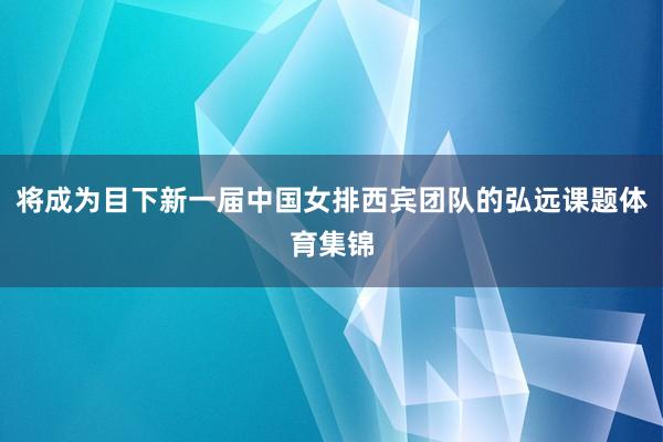 将成为目下新一届中国女排西宾团队的弘远课题体育集锦