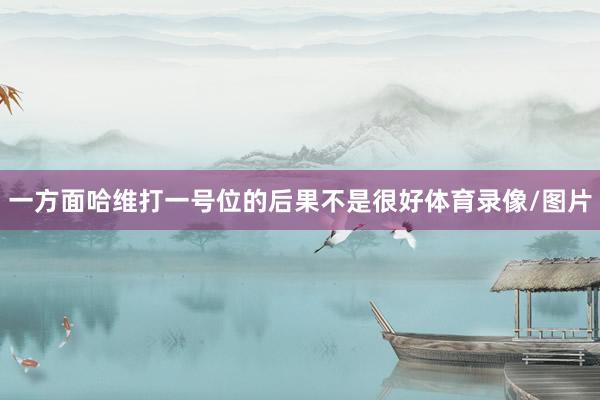 一方面哈维打一号位的后果不是很好体育录像/图片