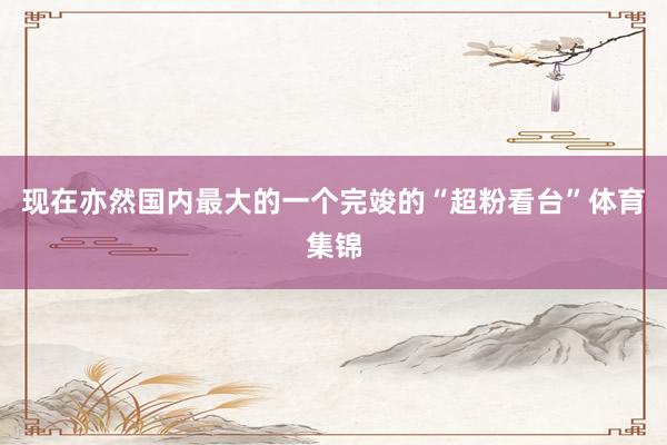 现在亦然国内最大的一个完竣的“超粉看台”体育集锦