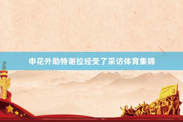 申花外助特谢拉经受了采访体育集锦