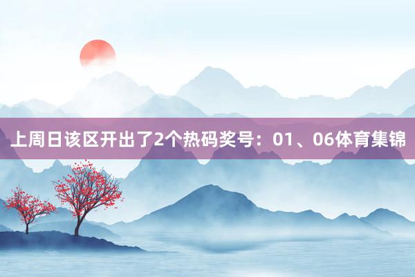 上周日该区开出了2个热码奖号：01、06体育集锦