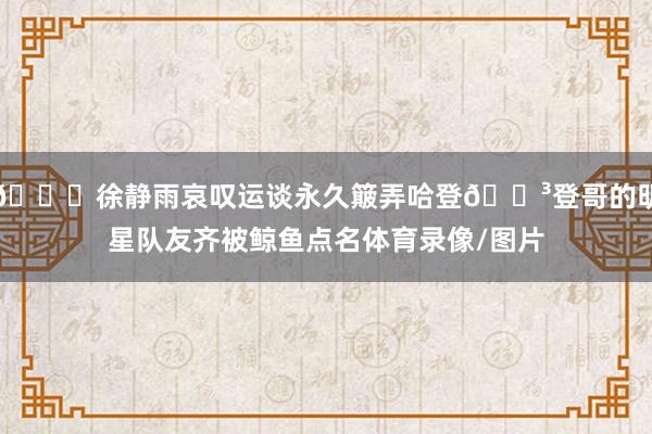 🙃徐静雨哀叹运谈永久簸弄哈登🐳登哥的明星队友齐被鲸鱼点名体育录像/图片