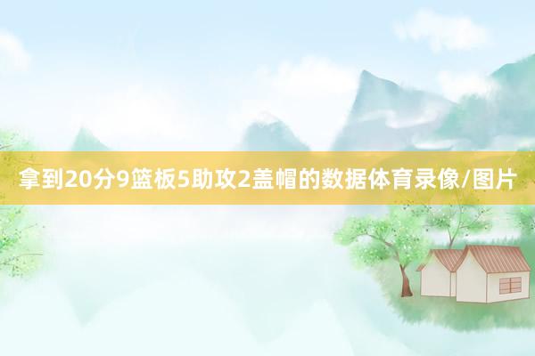 拿到20分9篮板5助攻2盖帽的数据体育录像/图片