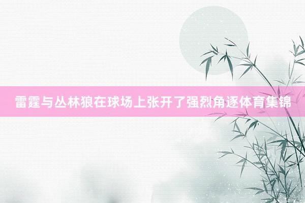 雷霆与丛林狼在球场上张开了强烈角逐体育集锦