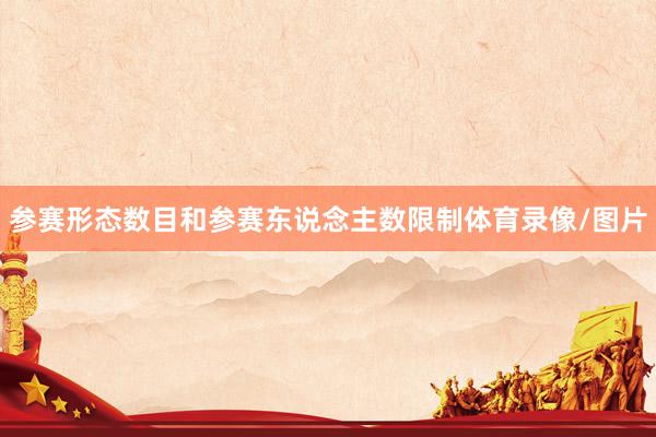 参赛形态数目和参赛东说念主数限制体育录像/图片