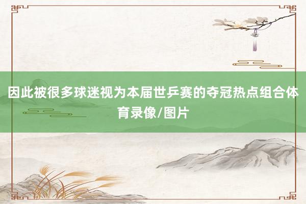 因此被很多球迷视为本届世乒赛的夺冠热点组合体育录像/图片