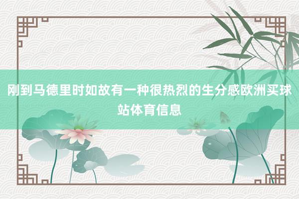 刚到马德里时如故有一种很热烈的生分感欧洲买球站体育信息