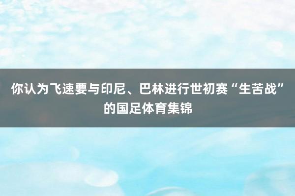 你认为飞速要与印尼、巴林进行世初赛“生苦战”的国足体育集锦