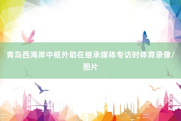 青岛西海岸中枢外助在继承媒体专访时体育录像/图片