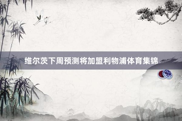 维尔茨下周预测将加盟利物浦体育集锦