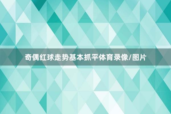 奇偶红球走势基本抓平体育录像/图片