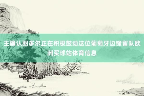 主确认图多尔正在积极鼓动这位葡萄牙边锋留队欧洲买球站体育信息