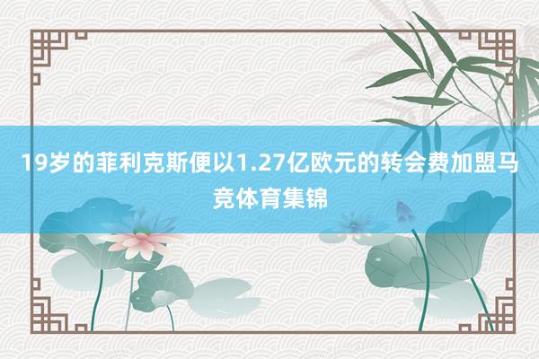 19岁的菲利克斯便以1.27亿欧元的转会费加盟马竞体育集锦