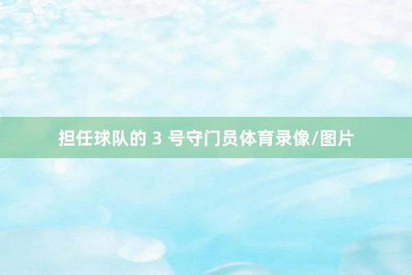 担任球队的 3 号守门员体育录像/图片