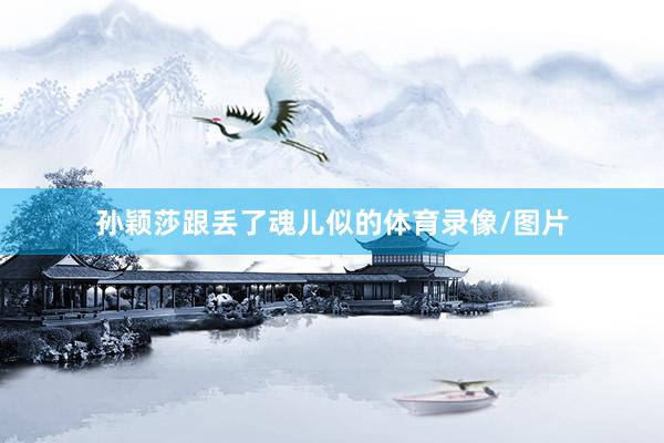 孙颖莎跟丢了魂儿似的体育录像/图片
