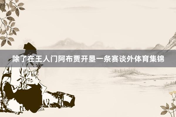 除了在王人门阿布贾开垦一条赛谈外体育集锦
