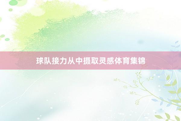 球队接力从中摄取灵感体育集锦