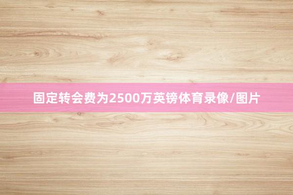 固定转会费为2500万英镑体育录像/图片