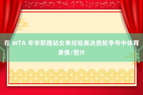 在 WTA 辛辛那提站女单经验赛决胜轮争夺中体育录像/图片
