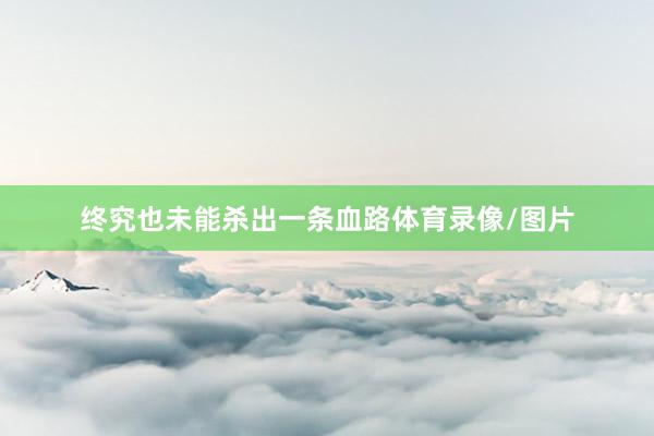 终究也未能杀出一条血路体育录像/图片