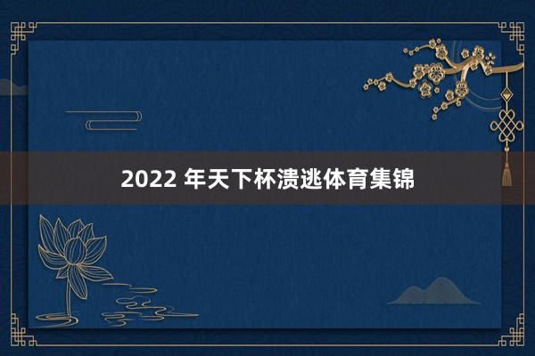 2022 年天下杯溃逃体育集锦