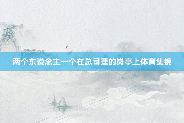 两个东说念主一个在总司理的岗亭上体育集锦