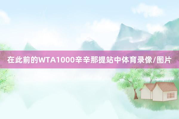 在此前的WTA1000辛辛那提站中体育录像/图片