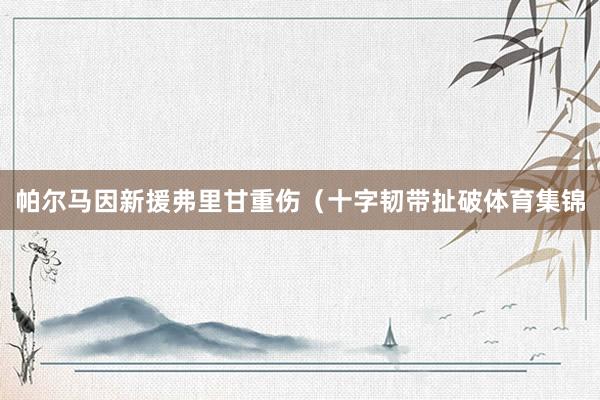 帕尔马因新援弗里甘重伤（十字韧带扯破体育集锦