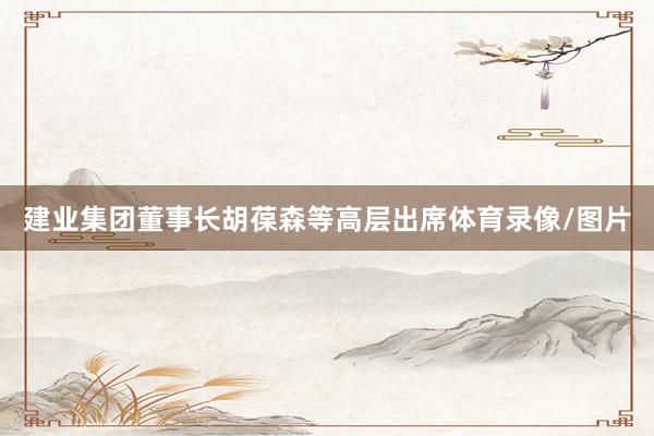 建业集团董事长胡葆森等高层出席体育录像/图片
