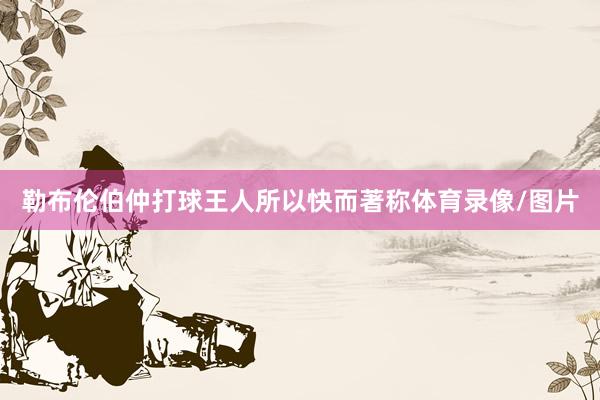 勒布伦伯仲打球王人所以快而著称体育录像/图片