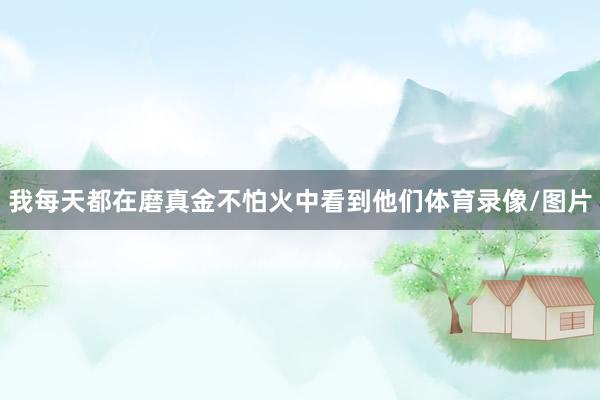 我每天都在磨真金不怕火中看到他们体育录像/图片