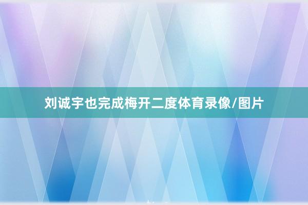 刘诚宇也完成梅开二度体育录像/图片