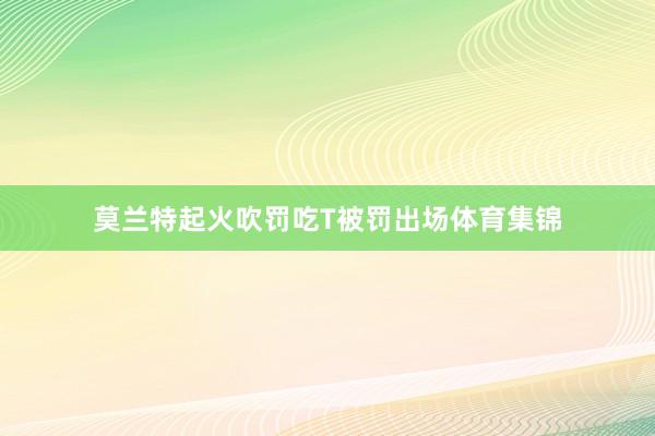 莫兰特起火吹罚吃T被罚出场体育集锦