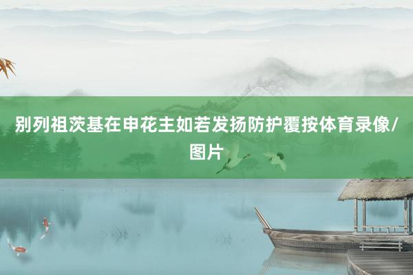 别列祖茨基在申花主如若发扬防护覆按体育录像/图片