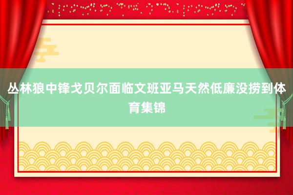 丛林狼中锋戈贝尔面临文班亚马天然低廉没捞到体育集锦