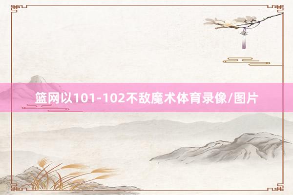 篮网以101-102不敌魔术体育录像/图片