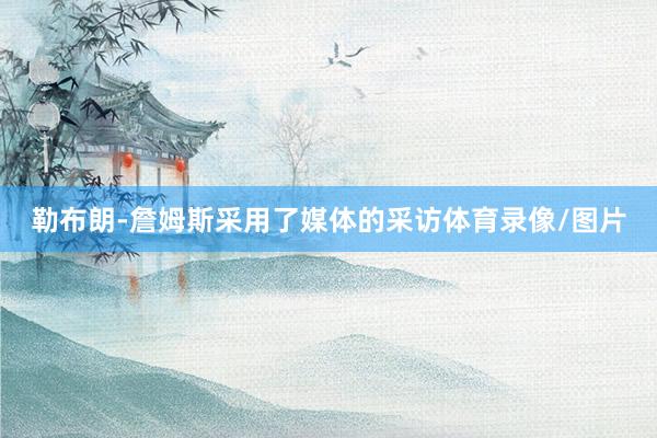 勒布朗-詹姆斯采用了媒体的采访体育录像/图片