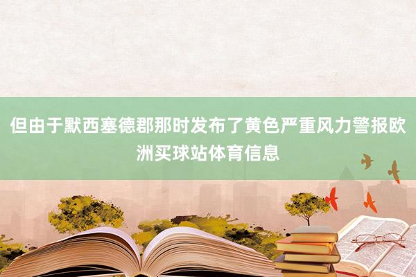 但由于默西塞德郡那时发布了黄色严重风力警报欧洲买球站体育信息