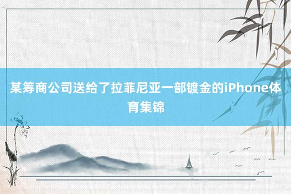 某筹商公司送给了拉菲尼亚一部镀金的iPhone体育集锦