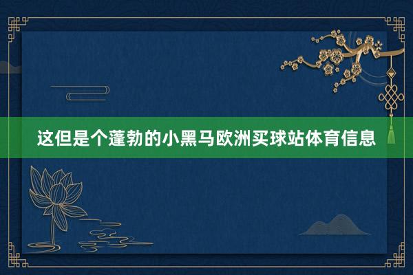 这但是个蓬勃的小黑马欧洲买球站体育信息