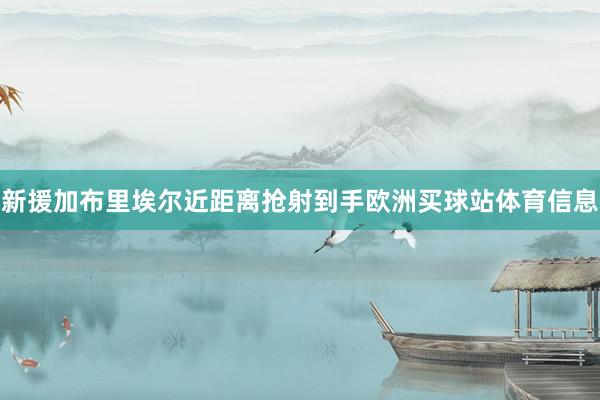新援加布里埃尔近距离抢射到手欧洲买球站体育信息